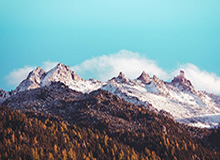 河北五超·微视频丨保定主场氛围燃爆！全场球迷山呼海啸，化身战队最佳第六人